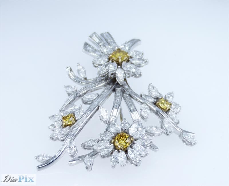 Brooch, Platinum 950 & 18K Yellow Gold